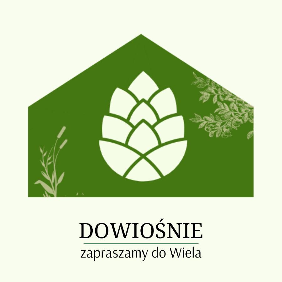 Dowiosnie - Domek W Wielu Lägenhet Wiele Exteriör bild